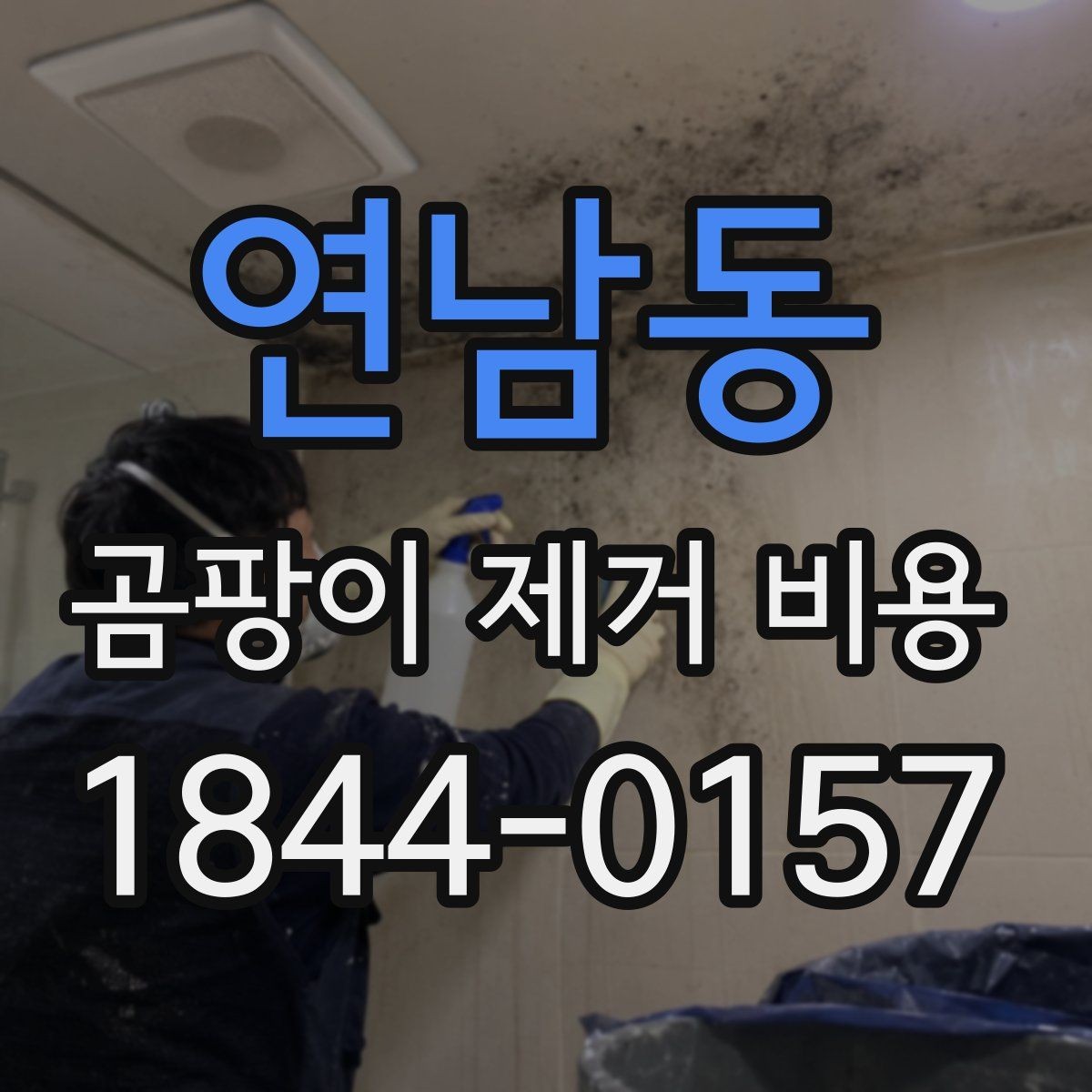 연남동 곰팡이 제거 비용 현장 점검 뒤 추가 비용이 생기는 경우