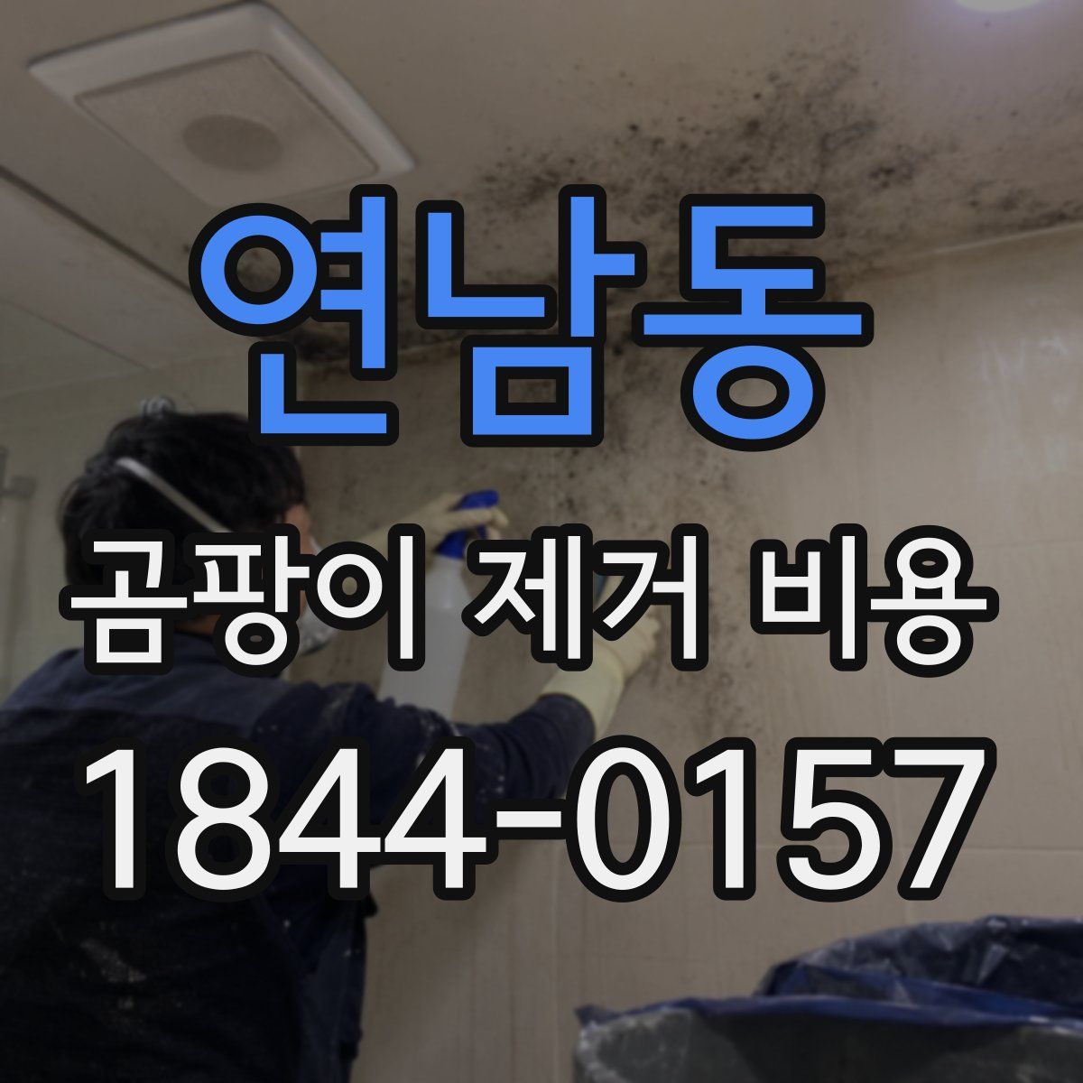 연남동 곰팡이 제거 비용