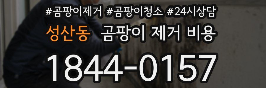 성산동 곰팡이 제거 비용