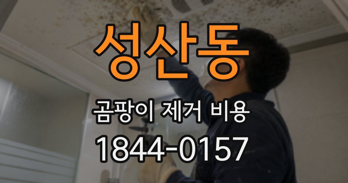 성산동 곰팡이 제거 비용