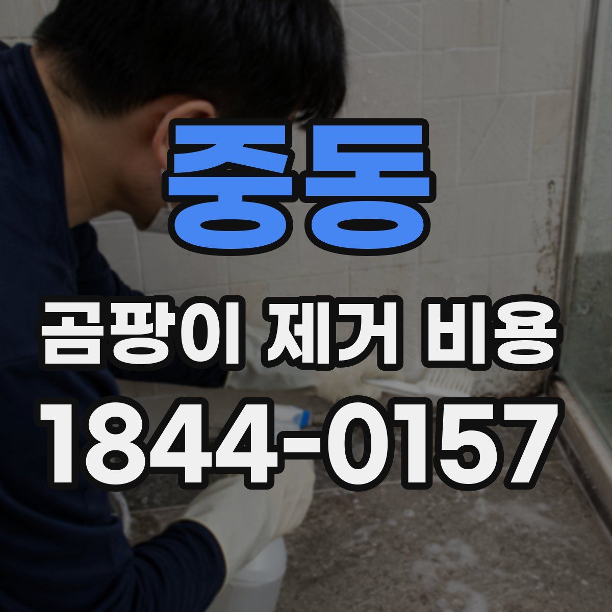 중동 곰팡이 제거 비용