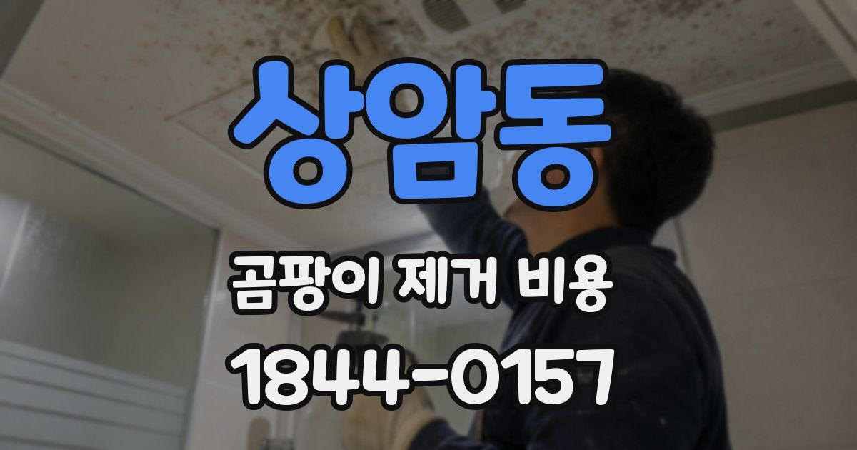 상암동 곰팡이 제거 비용