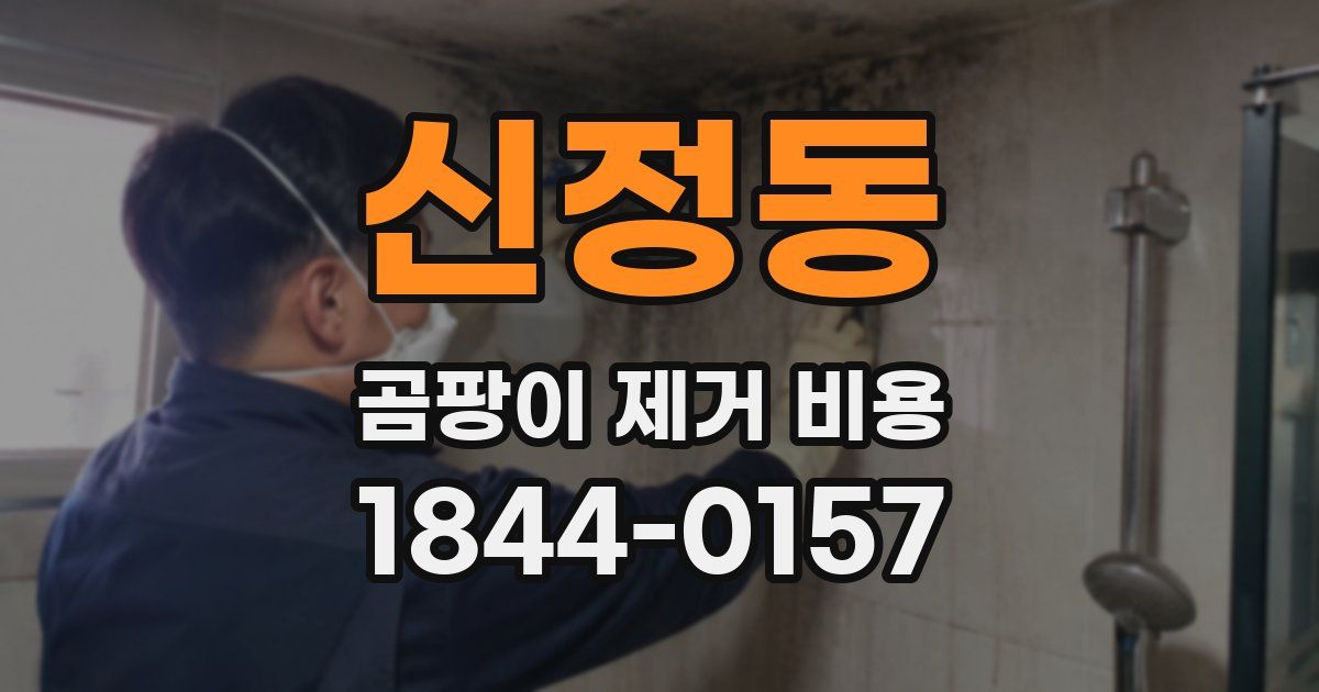 신정동 곰팡이 제거 비용