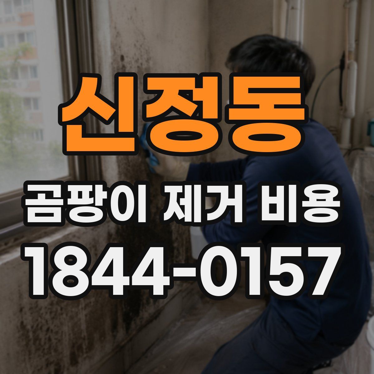 신정동 곰팡이 제거 비용
