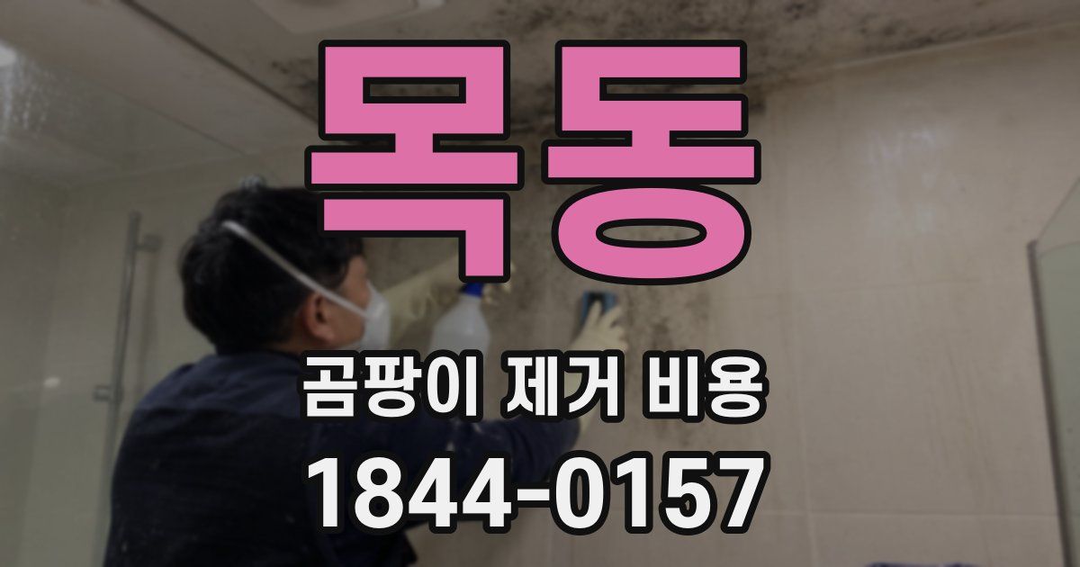 목동 곰팡이 제거 비용