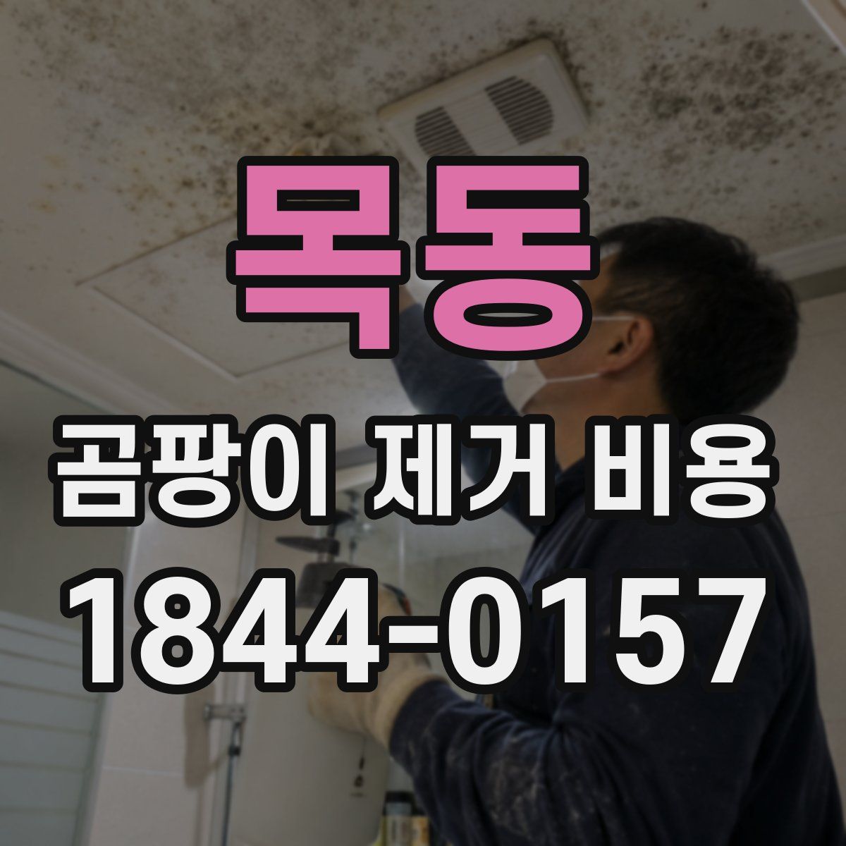 목동 곰팡이 제거 비용