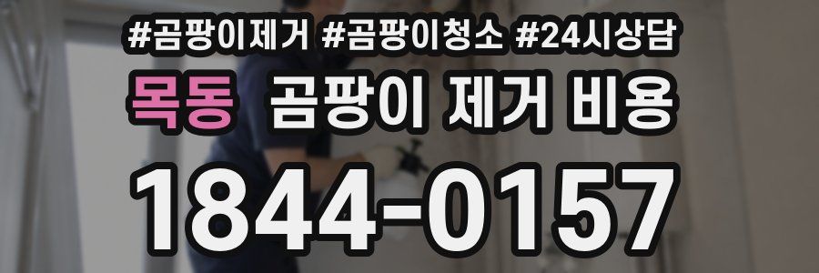 목동 곰팡이 제거 비용
