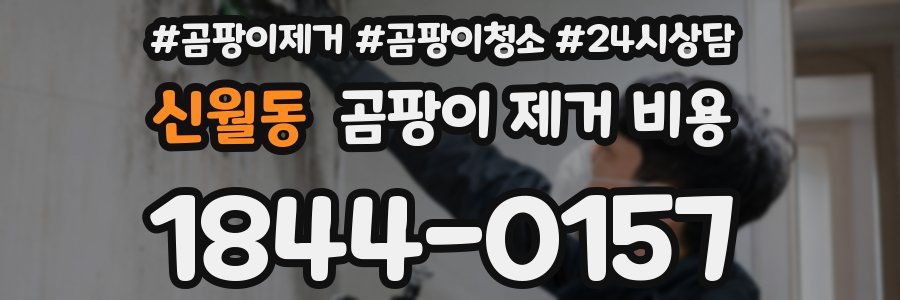 신월동 곰팡이 제거 비용