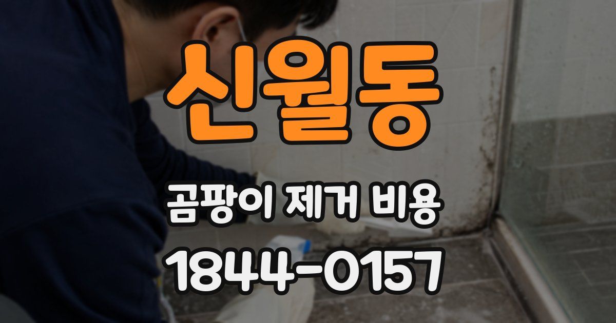 신월동 곰팡이 제거 비용