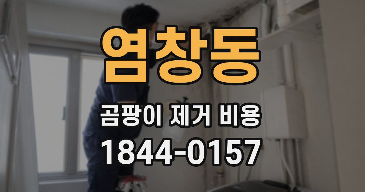 염창동 곰팡이 제거 비용