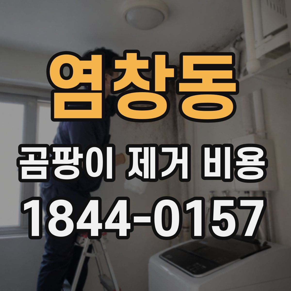 염창동 곰팡이 제거 비용