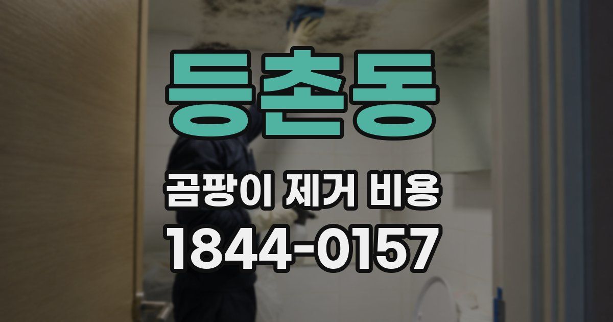 등촌동 곰팡이 제거 비용