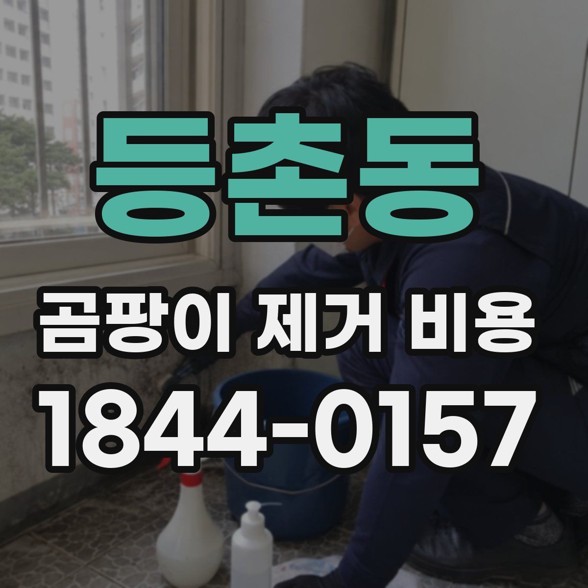 등촌동 곰팡이 제거 비용