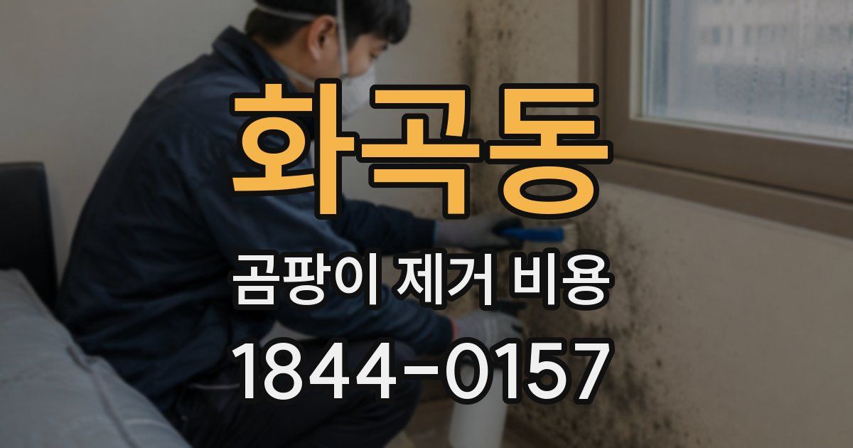 화곡동 곰팡이 제거 비용