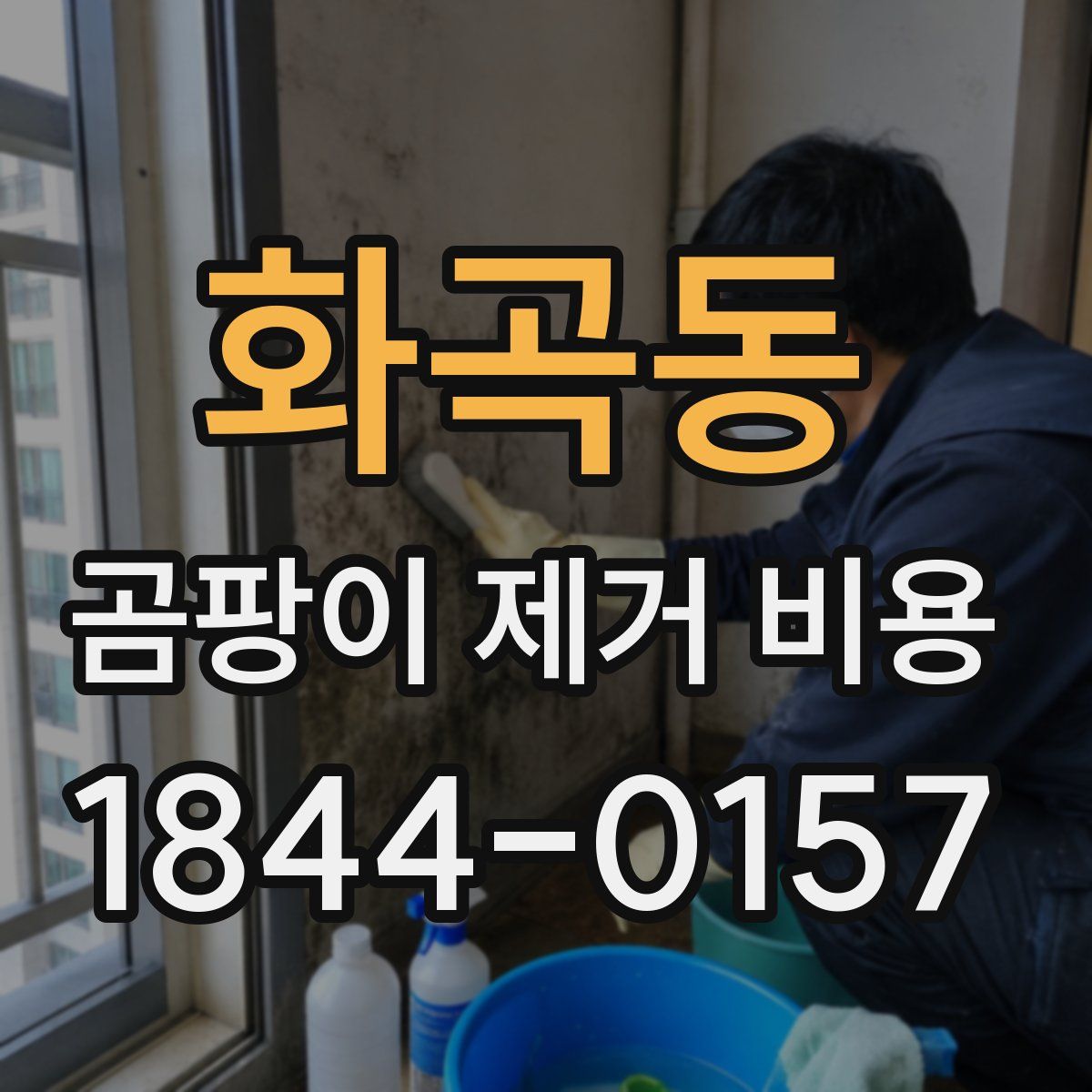 화곡동 곰팡이 제거 비용