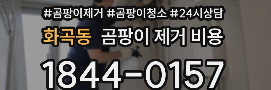 화곡동 곰팡이 제거 비용