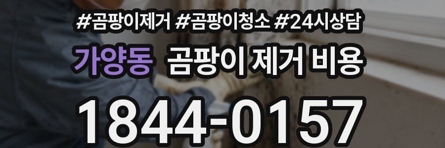 가양동 곰팡이 제거 비용