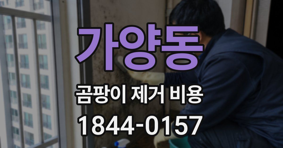 가양동 곰팡이 제거 비용