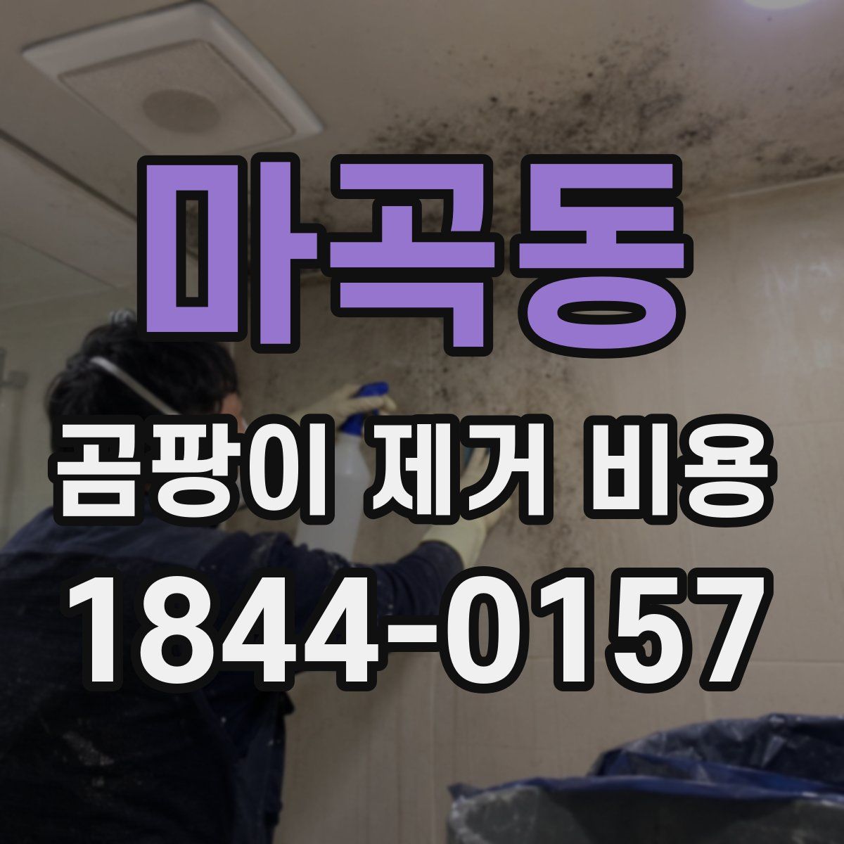 마곡동 곰팡이 제거 비용