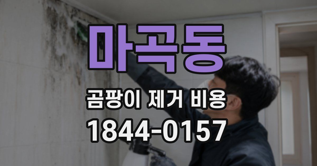 마곡동 곰팡이 제거 비용