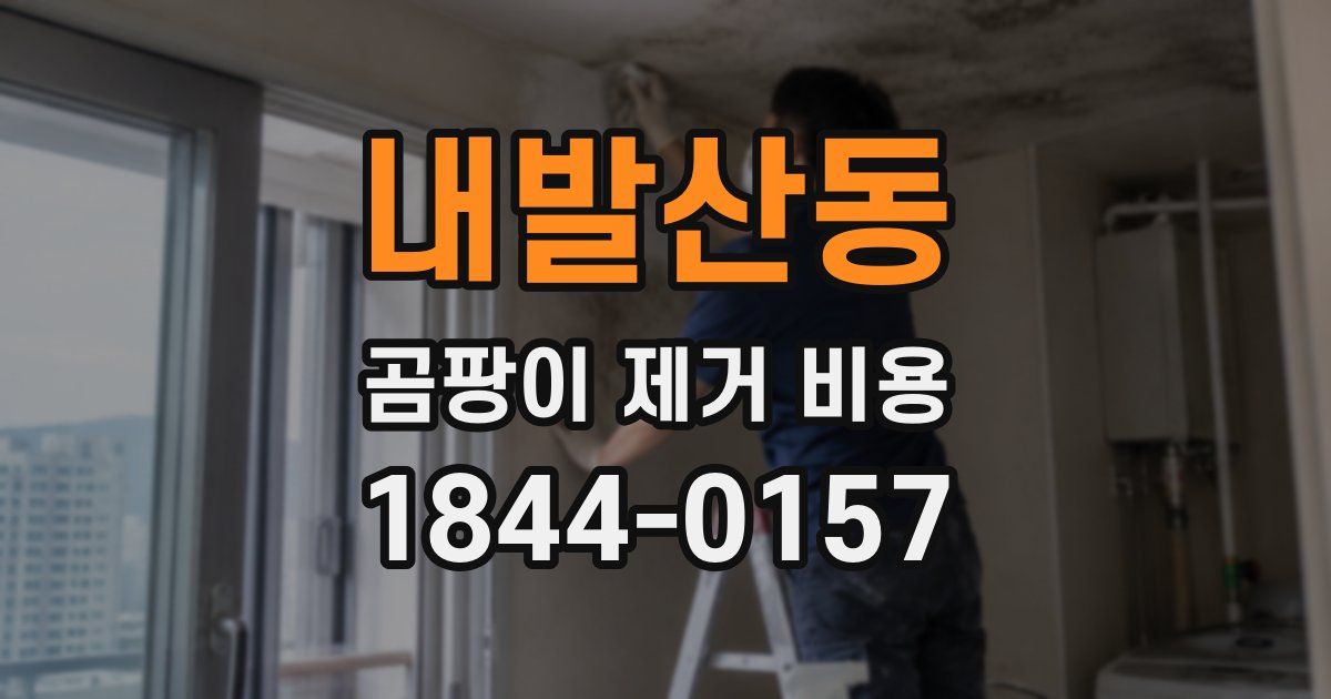 내발산동 곰팡이 제거 비용