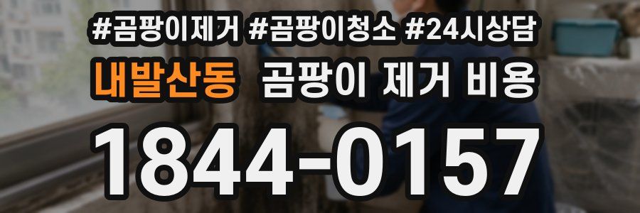 내발산동 곰팡이 제거 비용