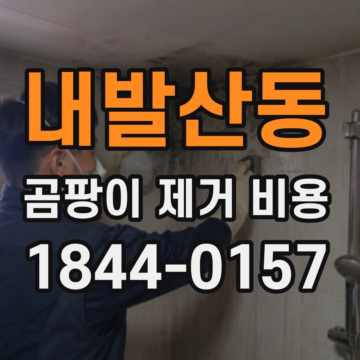 내발산동 곰팡이 제거 비용