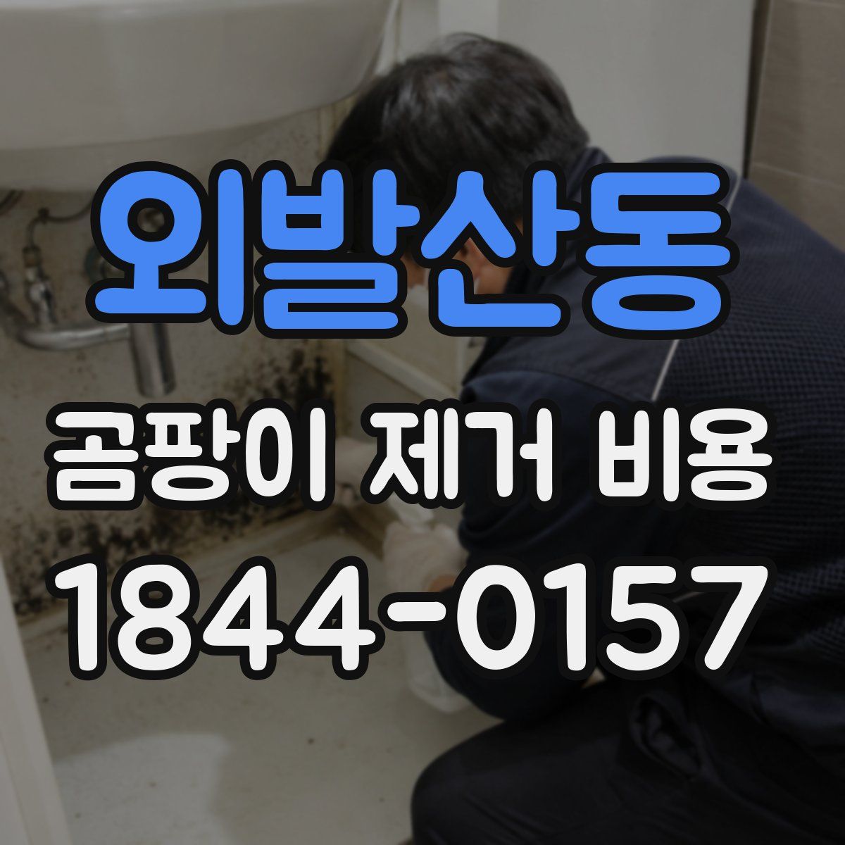 외발산동 곰팡이 제거 비용