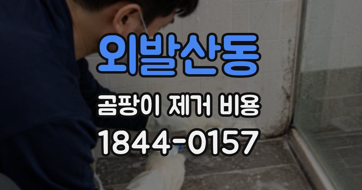 외발산동 곰팡이 제거 비용