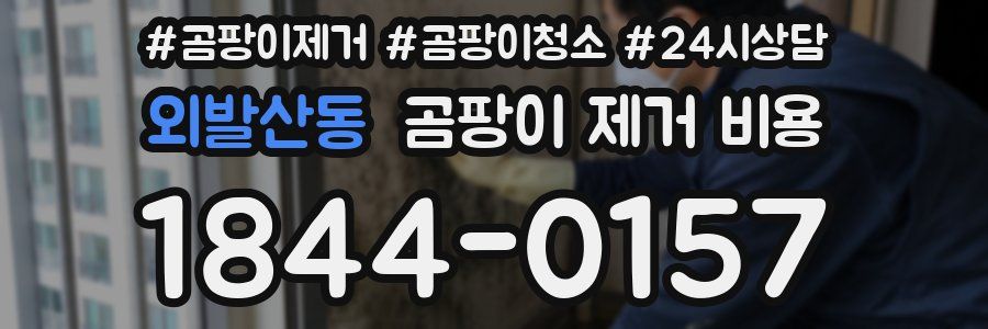 외발산동 곰팡이 제거 비용