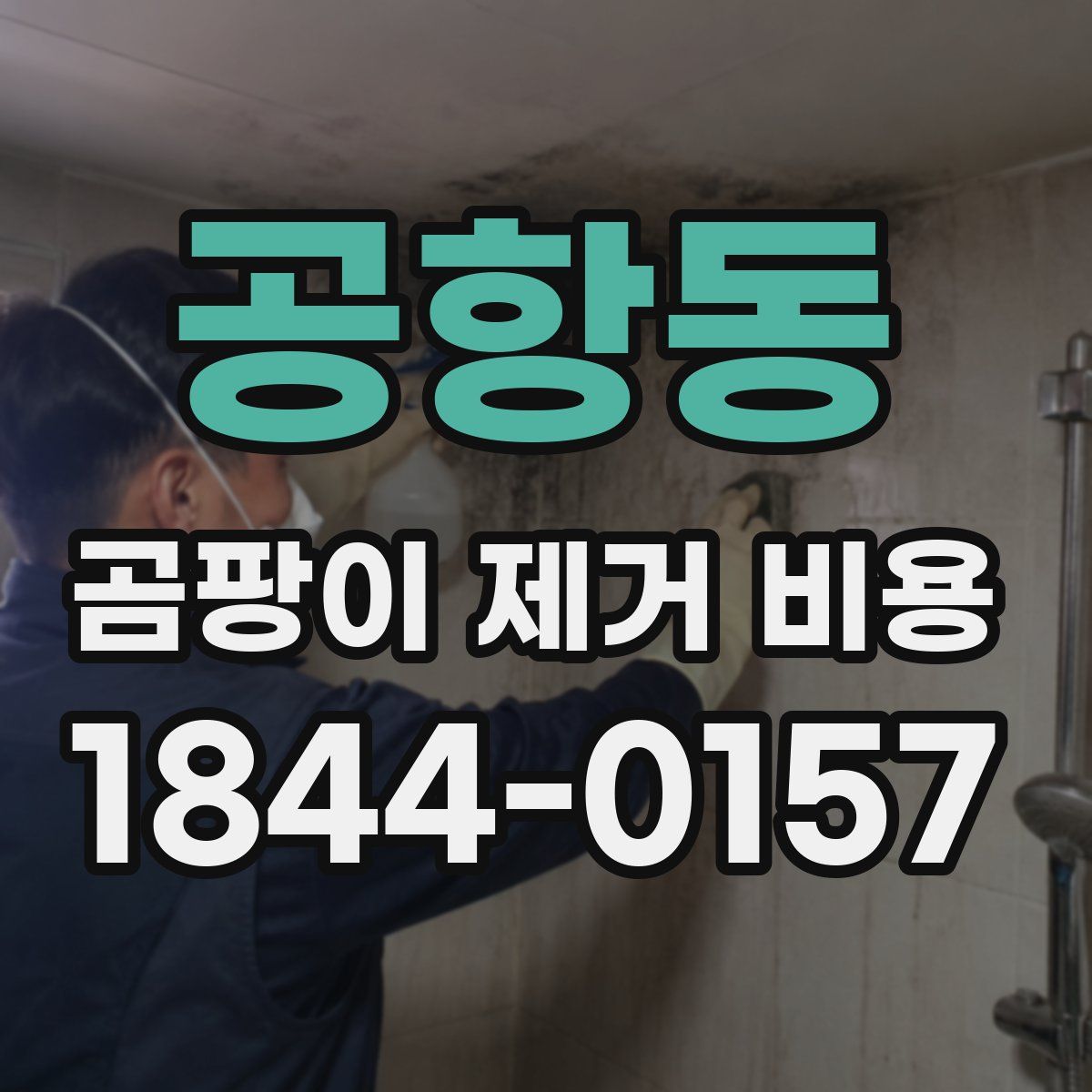 공항동 곰팡이 제거 비용