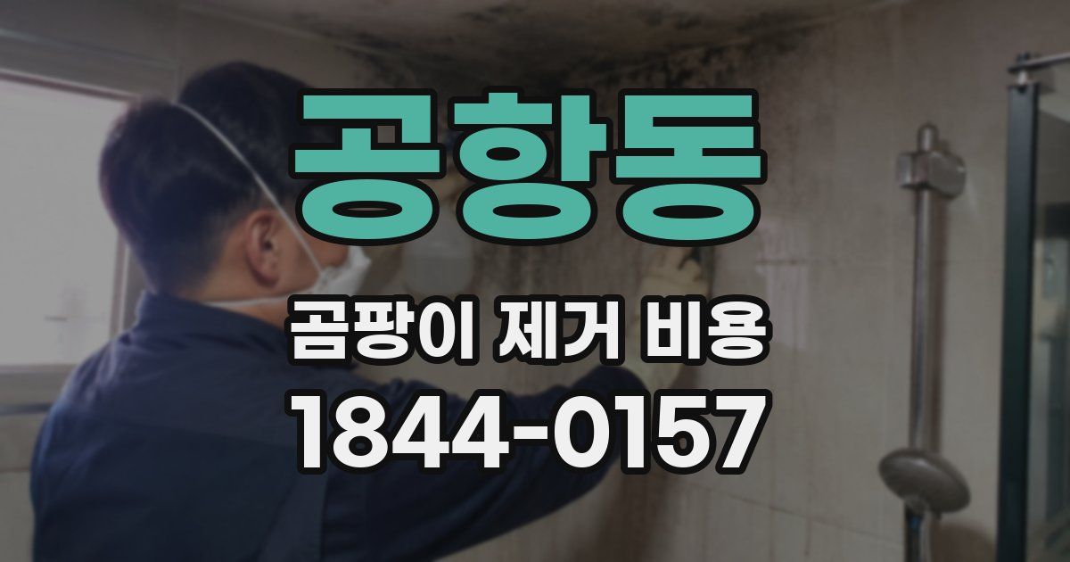 공항동 곰팡이 제거 비용
