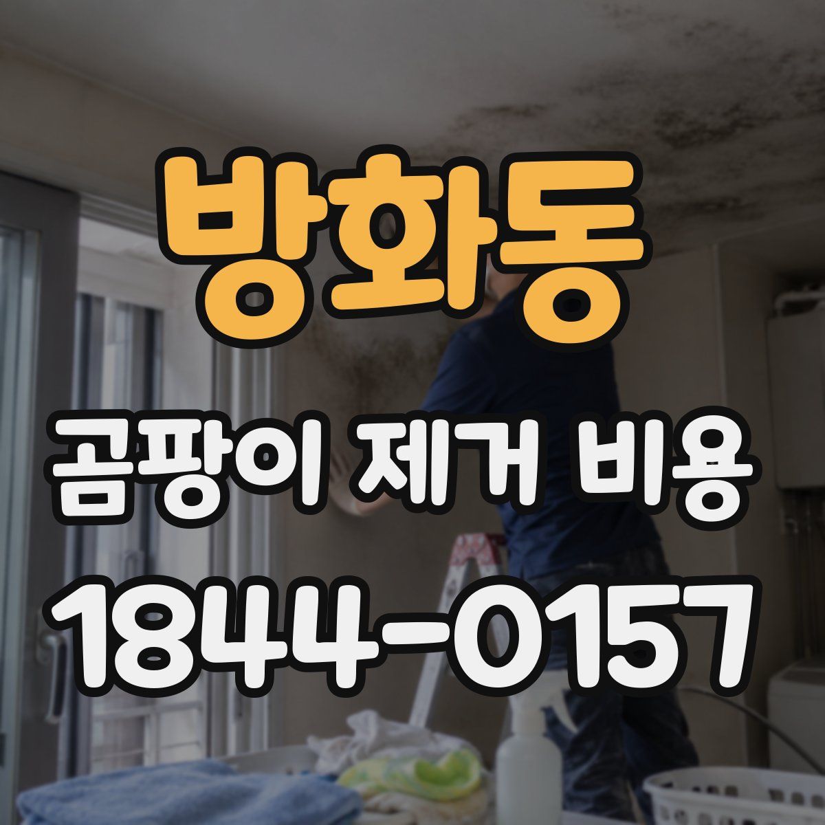 방화동 곰팡이 제거 비용