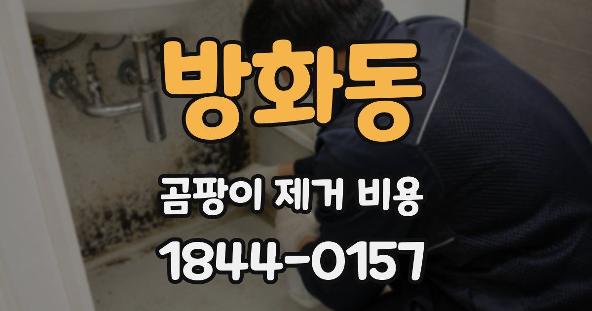방화동 곰팡이 제거 비용