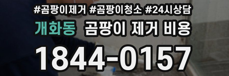 개화동 곰팡이 제거 비용
