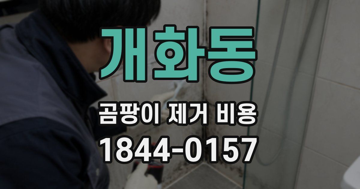 개화동 곰팡이 제거 비용