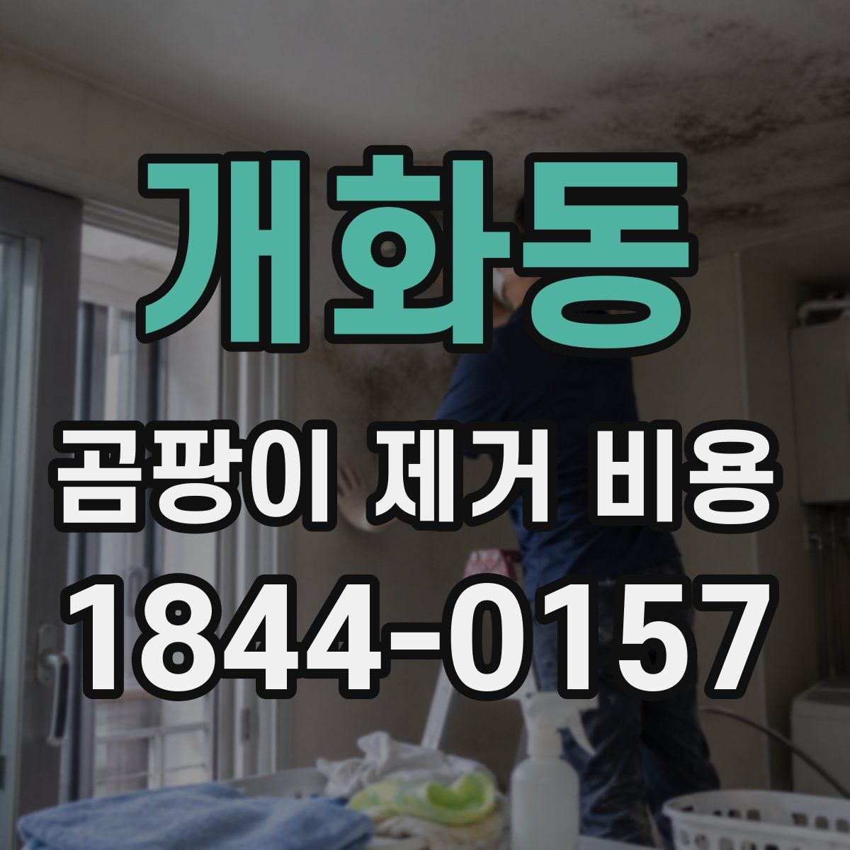 개화동 곰팡이 제거 비용