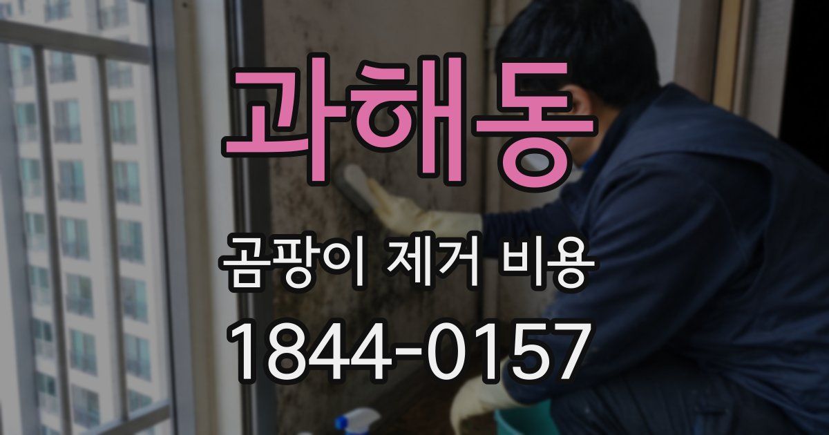 과해동 곰팡이 제거 비용
