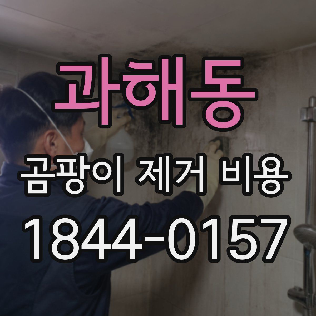 과해동 곰팡이 제거 비용