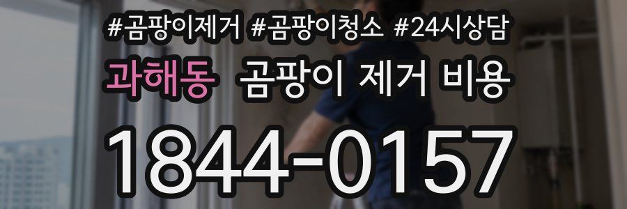 과해동 곰팡이 제거 비용