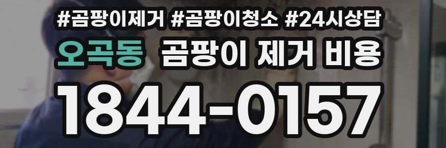 오곡동 곰팡이 제거 비용