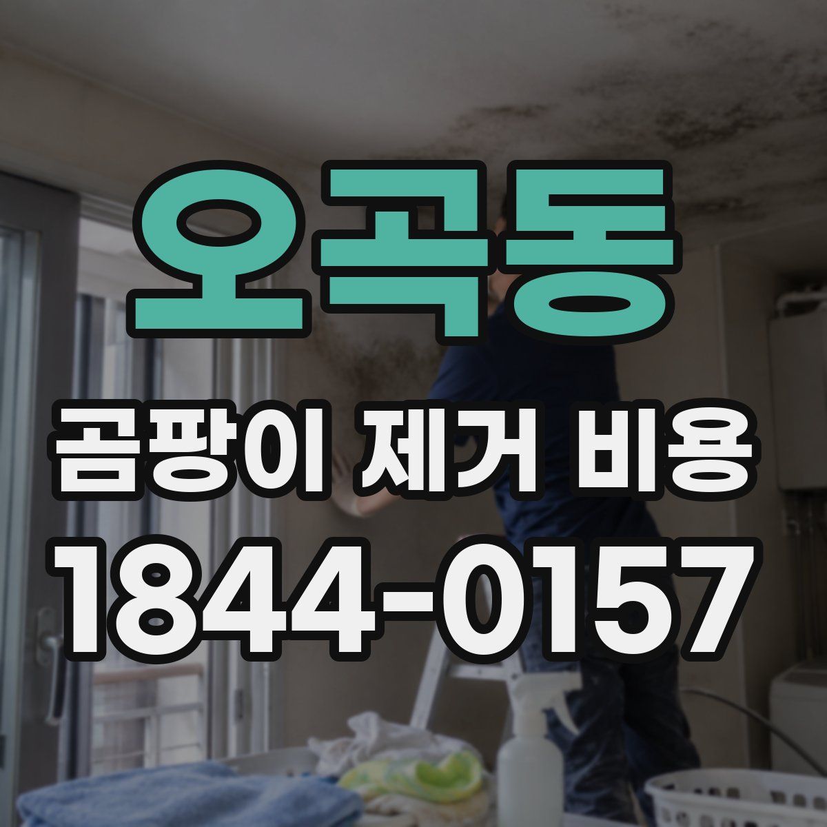 오곡동 곰팡이 제거 비용