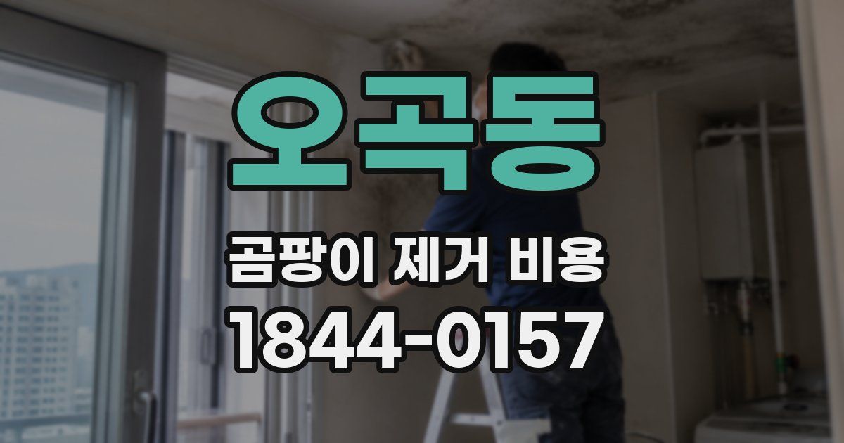 오곡동 곰팡이 제거 비용