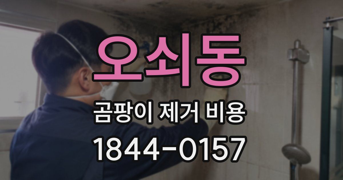 오쇠동 곰팡이 제거 비용