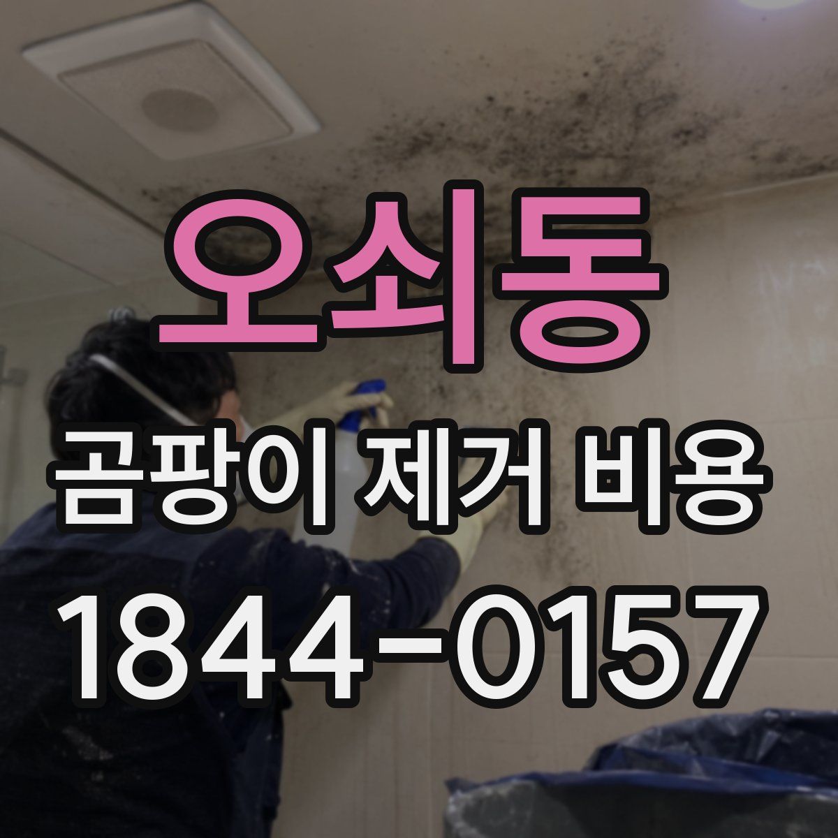 오쇠동 곰팡이 제거 비용