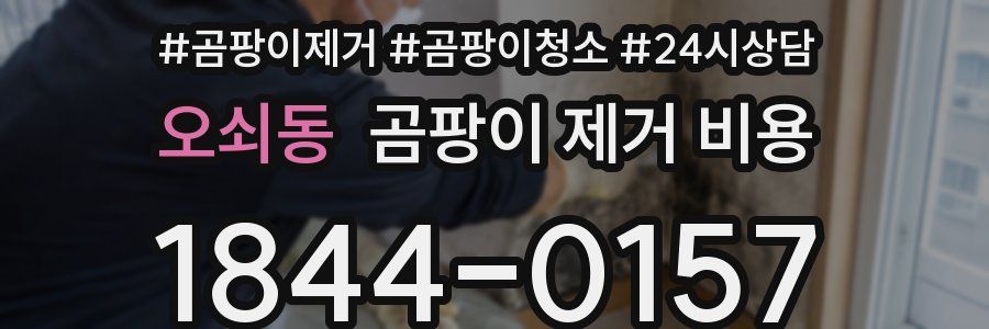 오쇠동 곰팡이 제거 비용