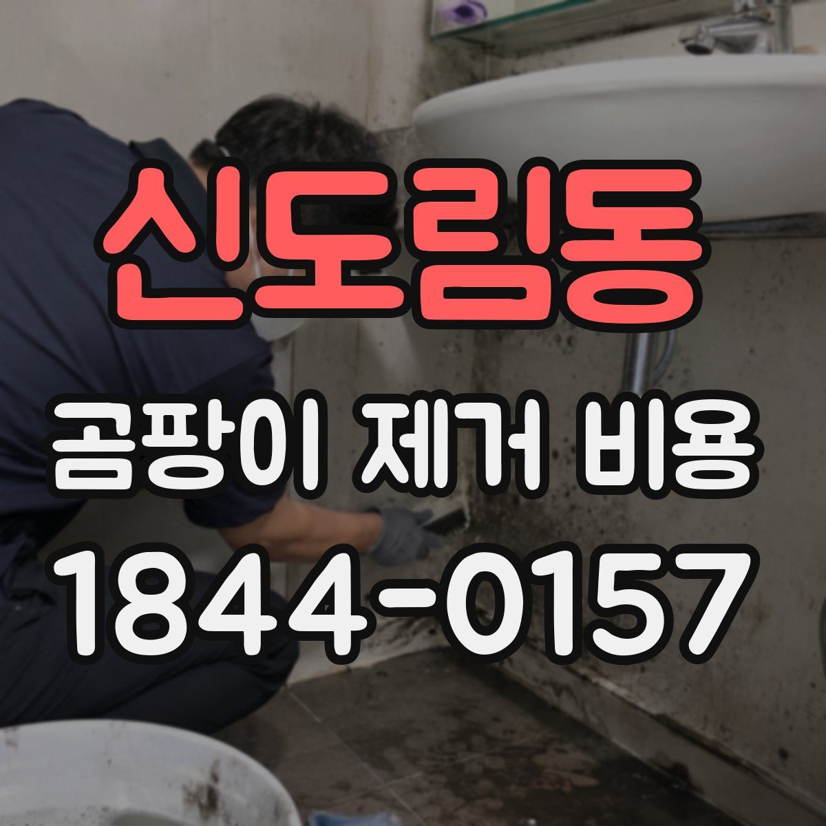 신도림동 곰팡이 제거 비용