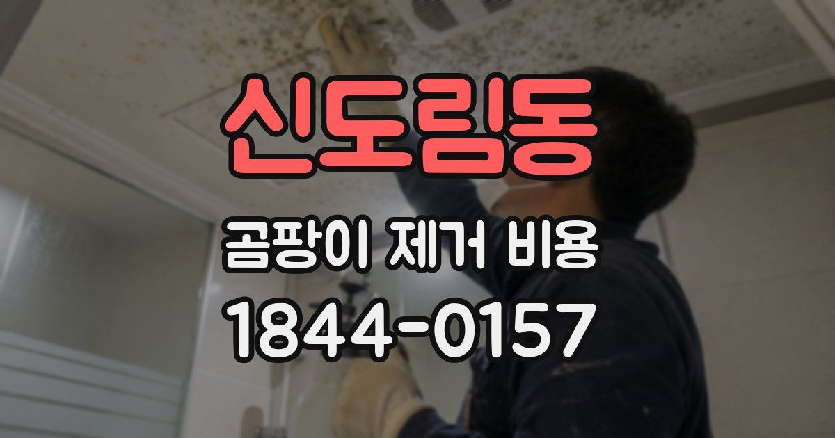 신도림동 곰팡이 제거 비용