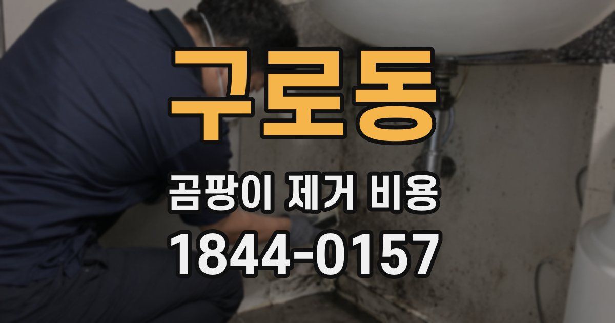 구로동 곰팡이 제거 비용