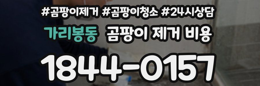 가리봉동 곰팡이 제거 비용